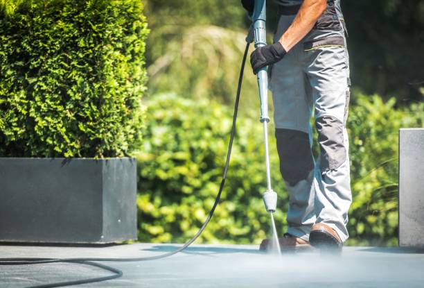 Best Solar Panel Cleaning  in , AL